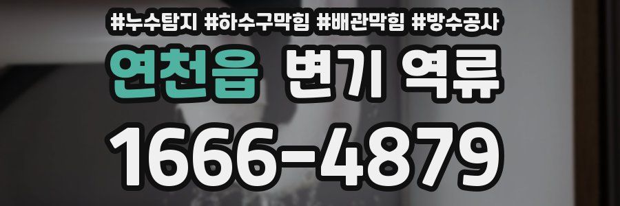 연천읍 변기 역류