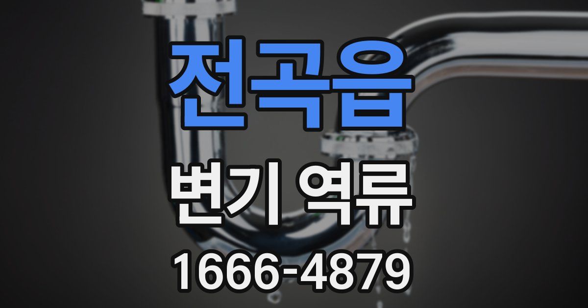 전곡읍 변기 역류