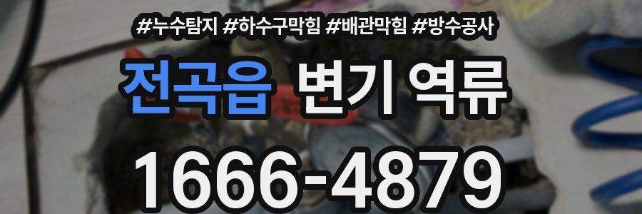 전곡읍 변기 역류