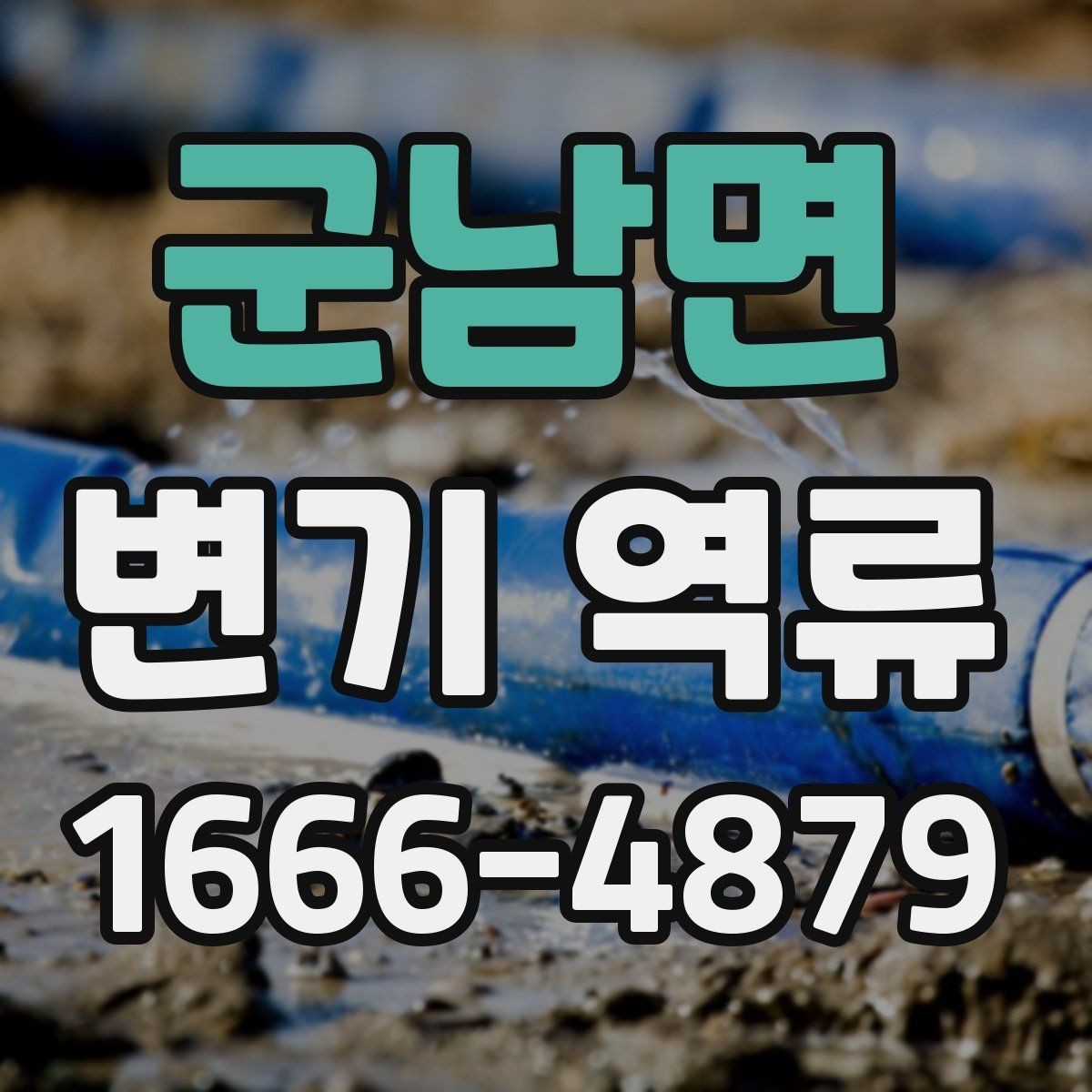 군남면 변기 역류 상황에서 전문가가 보는 부분