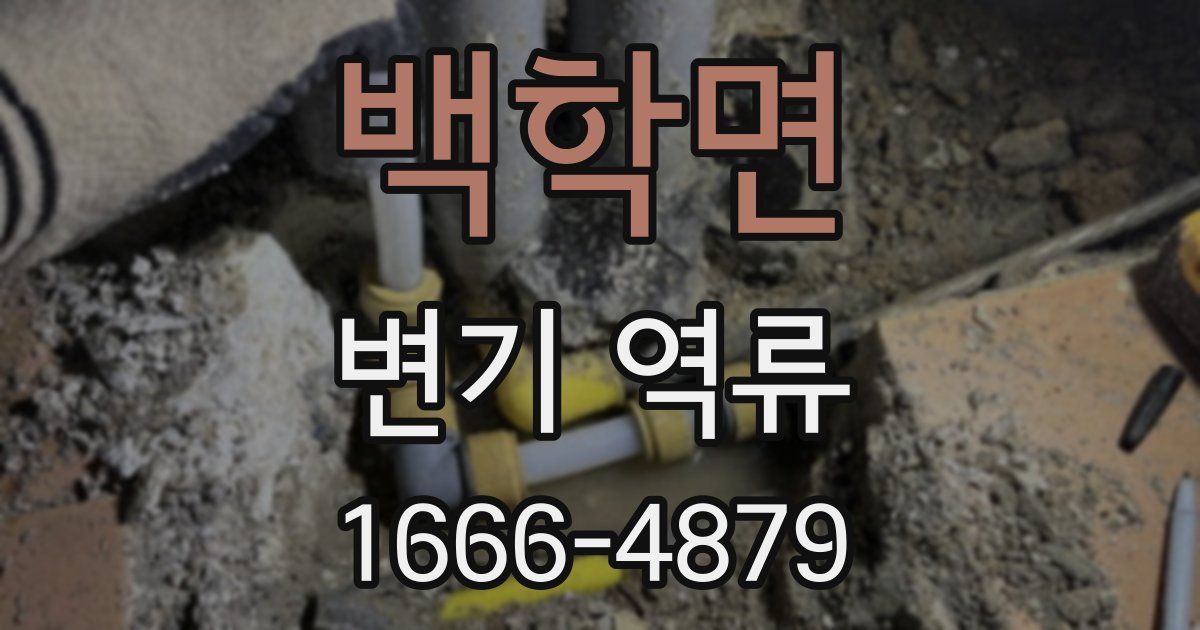 백학면 변기 역류