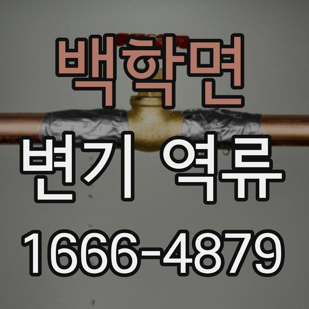 백학면 변기 역류