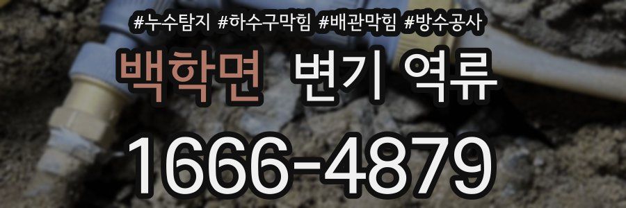 백학면 변기 역류