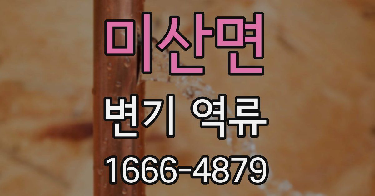 미산면 변기 역류