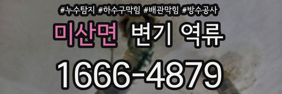 미산면 변기 역류
