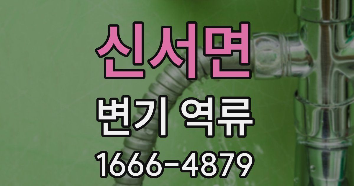 신서면 변기 역류