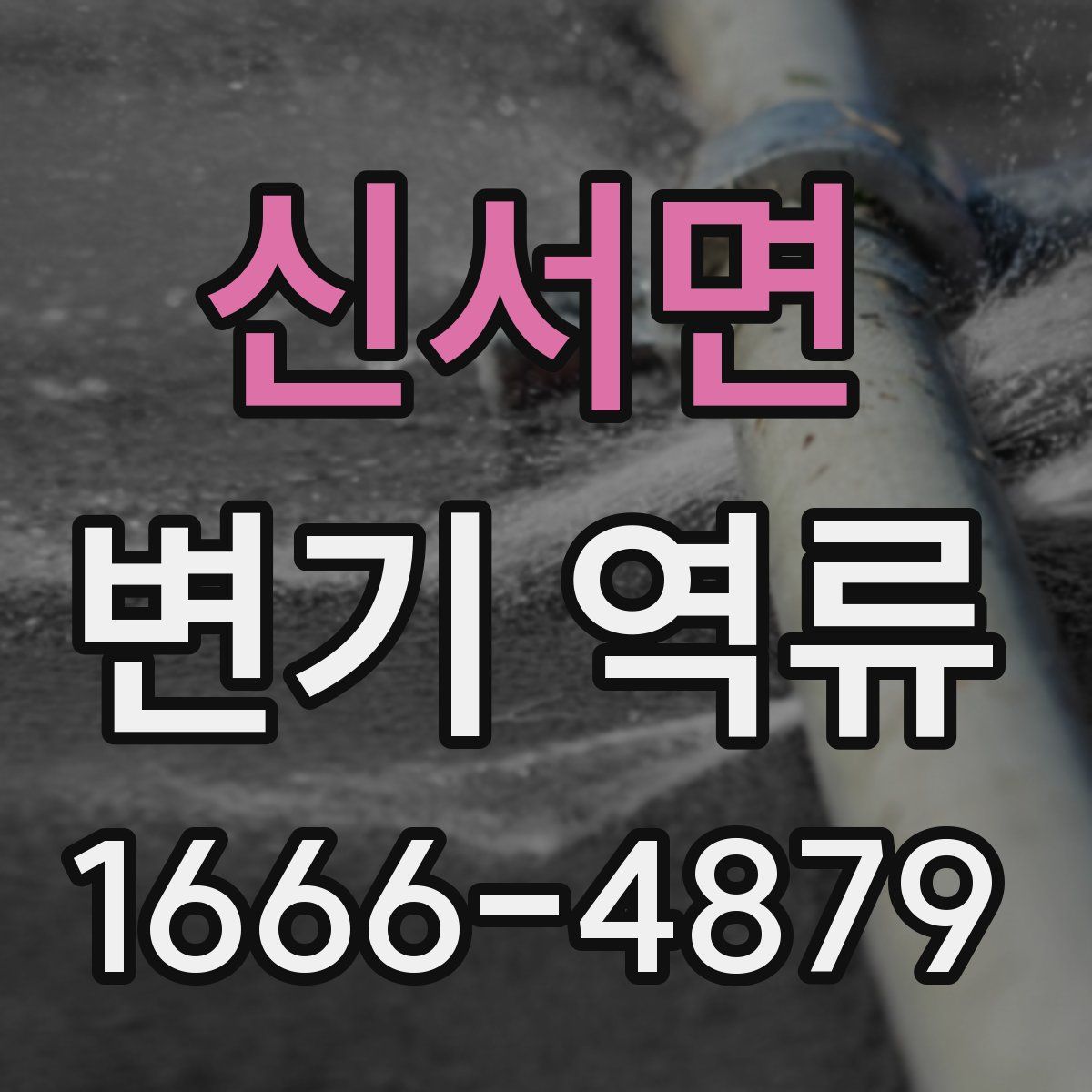 신서면 변기 역류