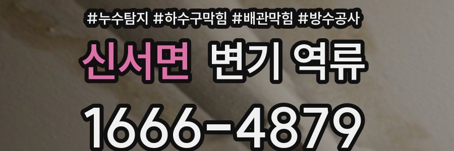 신서면 변기 역류