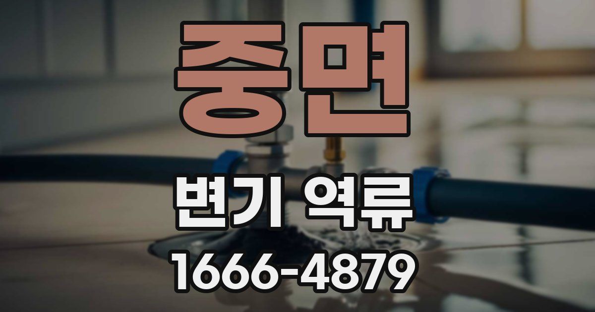 중면 변기 역류
