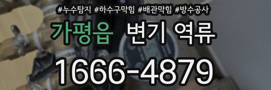 가평읍 변기 역류
