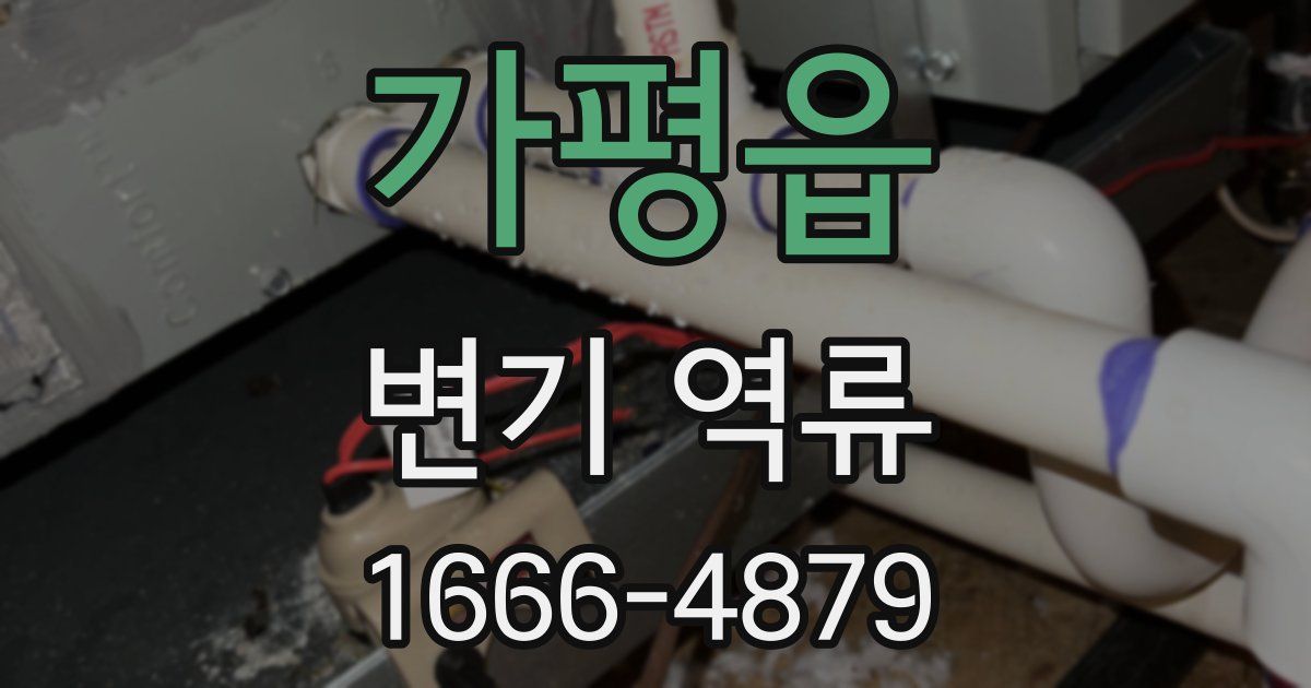 가평읍 변기 역류