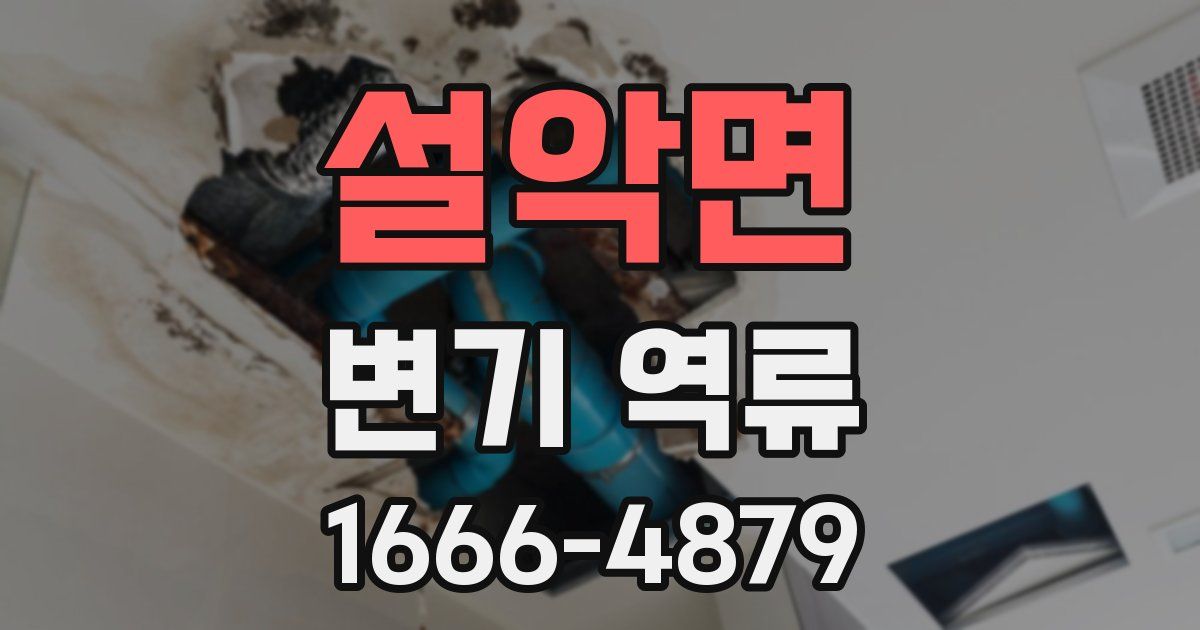 설악면 변기 역류