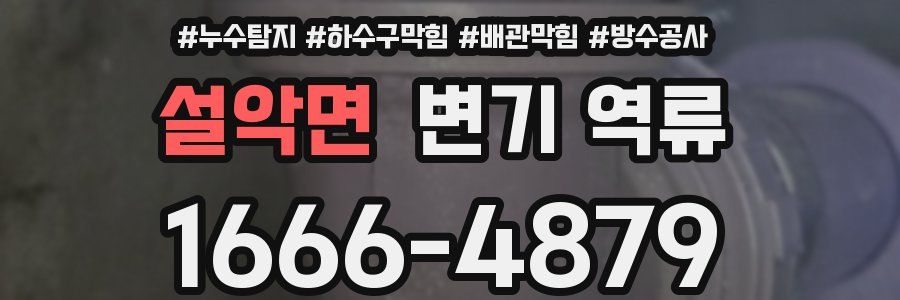 설악면 변기 역류