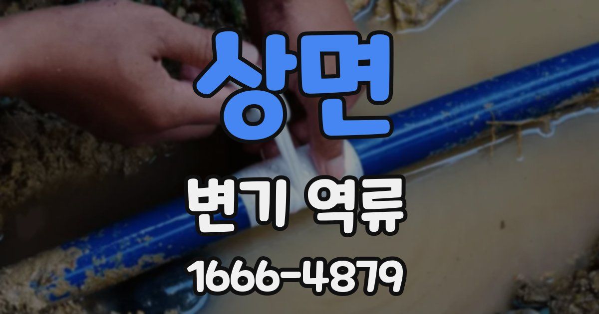 상면 변기 역류