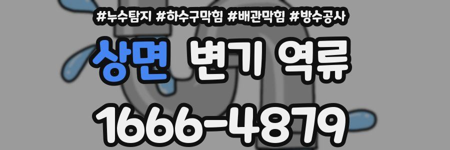 상면 변기 역류
