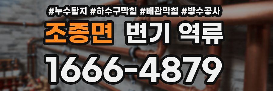 조종면 변기 역류