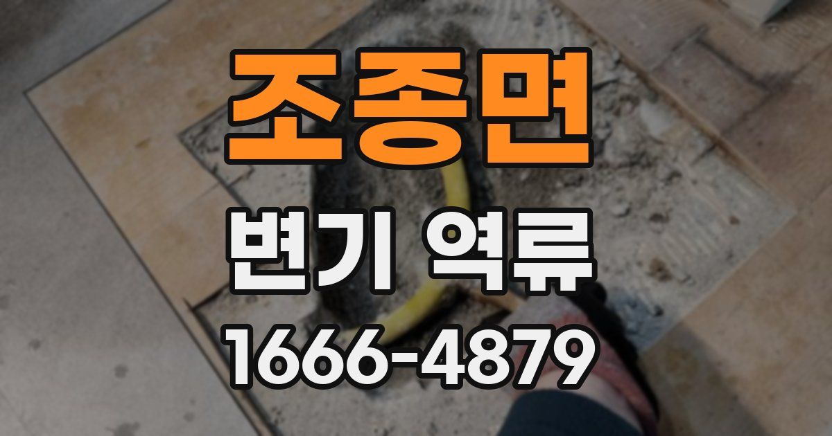 조종면 변기 역류