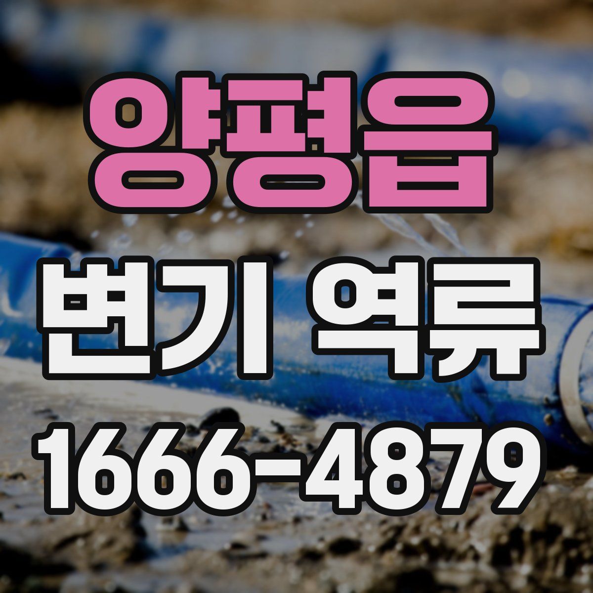 양평읍 변기 역류