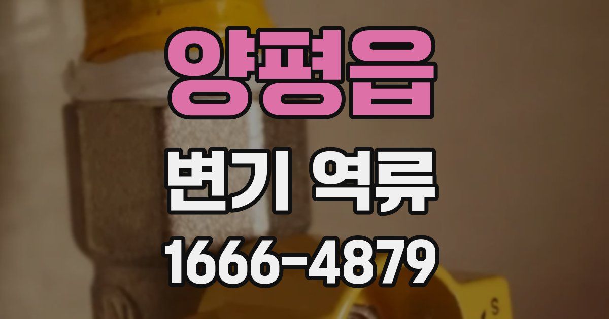 양평읍 변기 역류