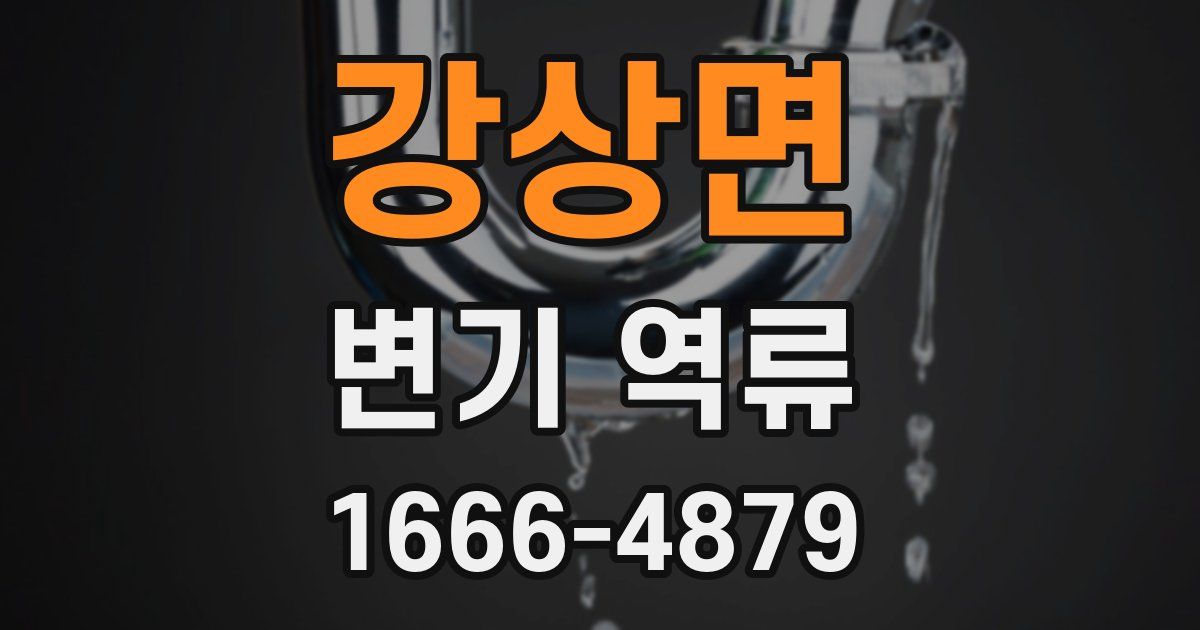 강상면 변기 역류