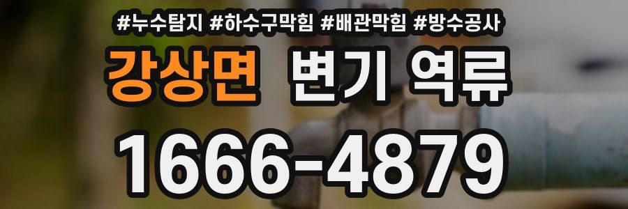 강상면 변기 역류