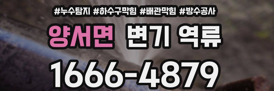 양서면 변기 역류