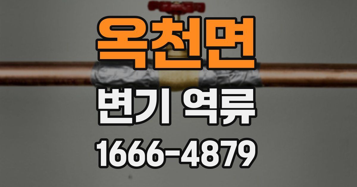 옥천면 변기 역류