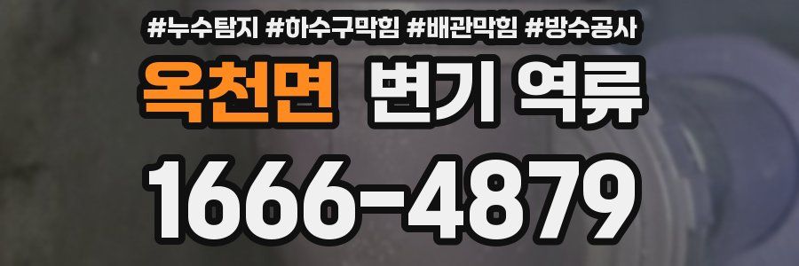 옥천면 변기 역류