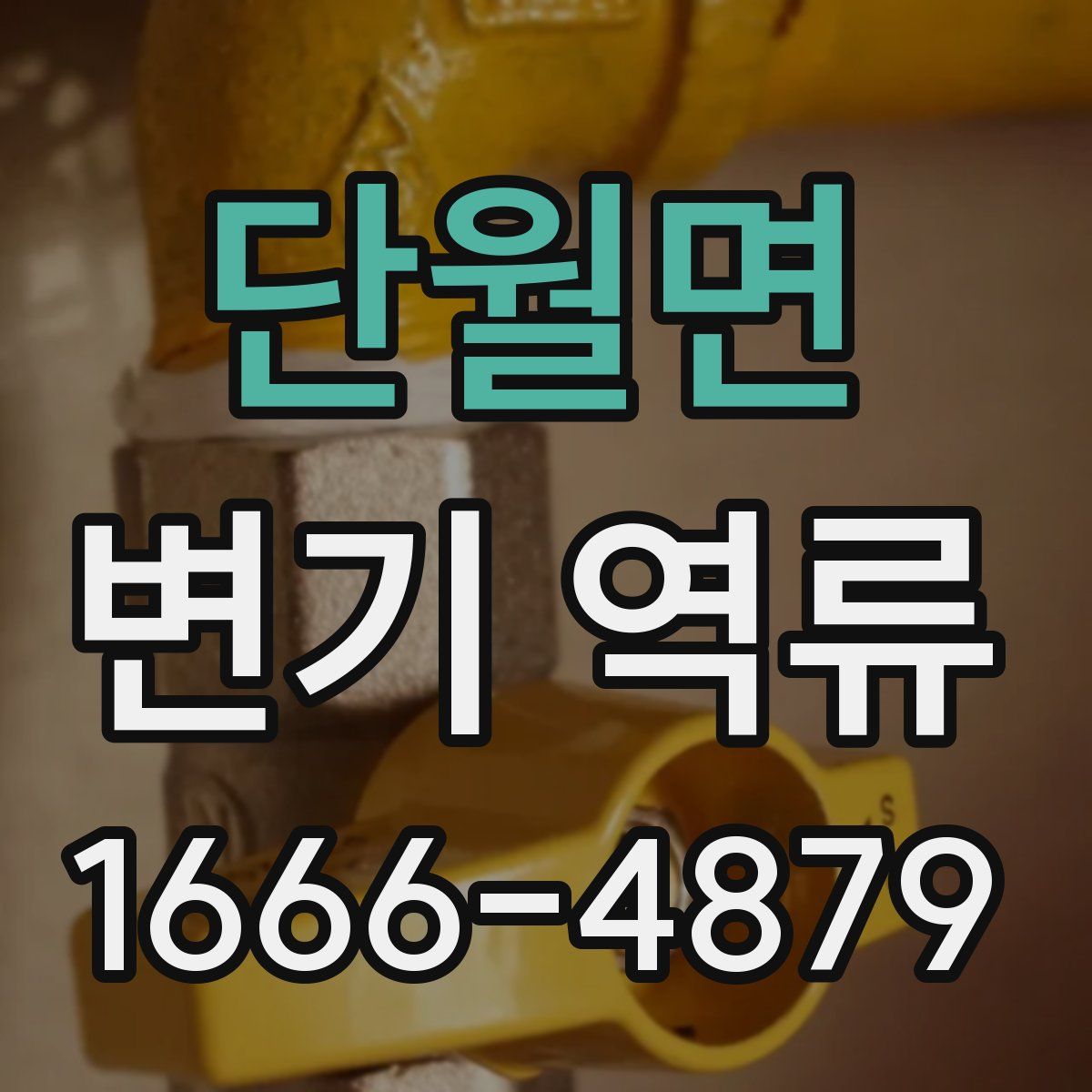 단월면 변기 역류