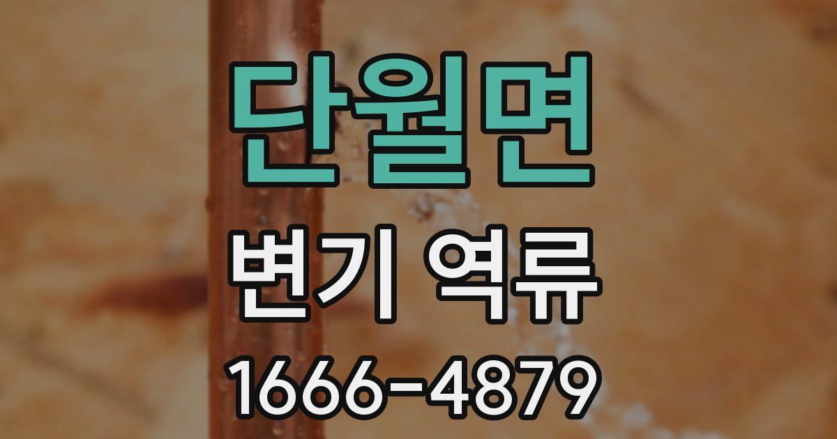 단월면 변기 역류