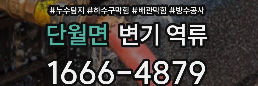 단월면 변기 역류