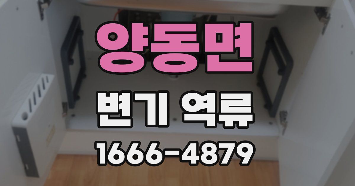양동면 변기 역류