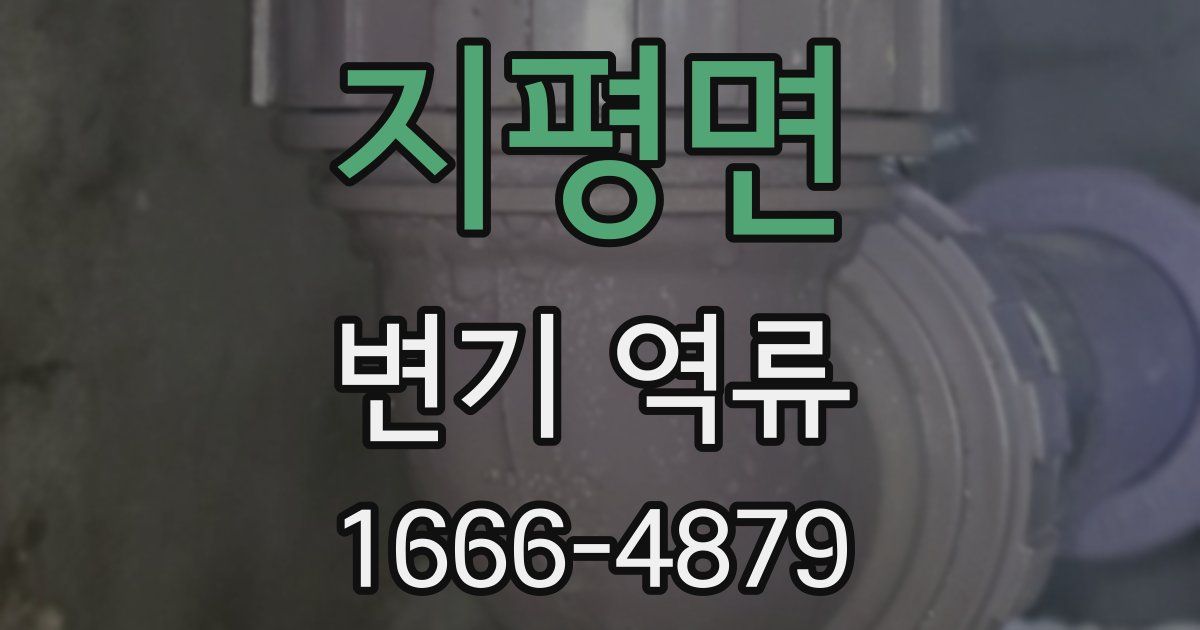 지평면 변기 역류
