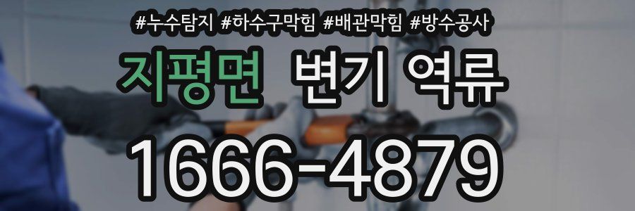지평면 변기 역류