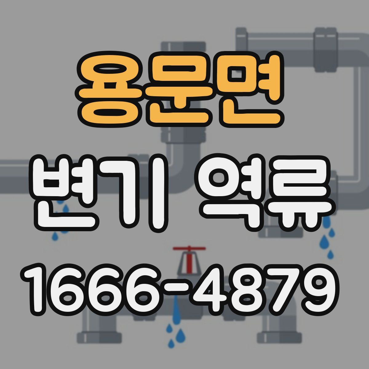 용문면 변기 역류