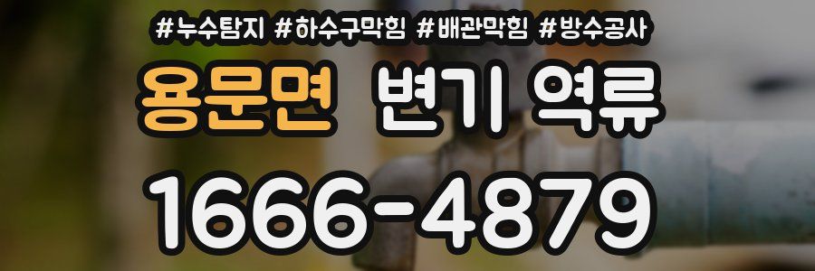 용문면 변기 역류