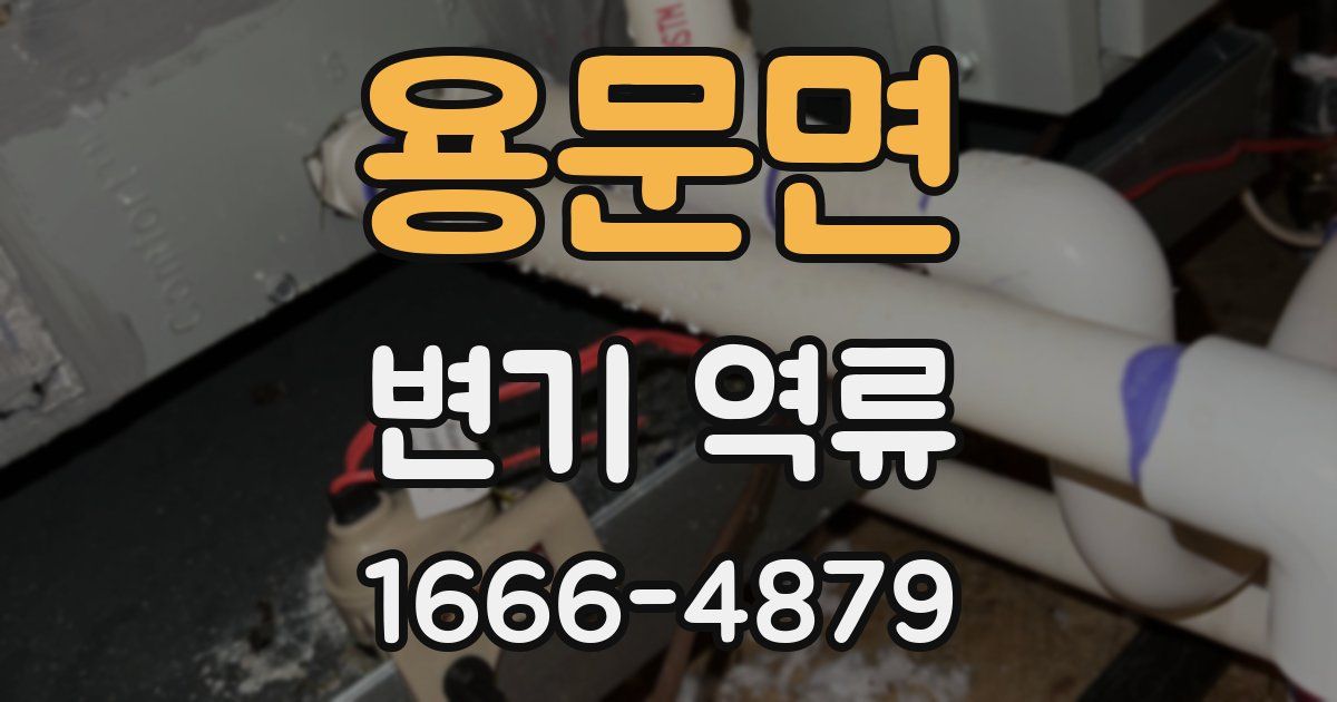 용문면 변기 역류