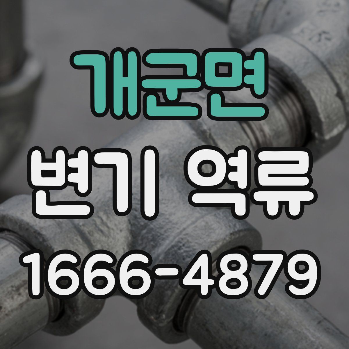 개군면 변기 역류