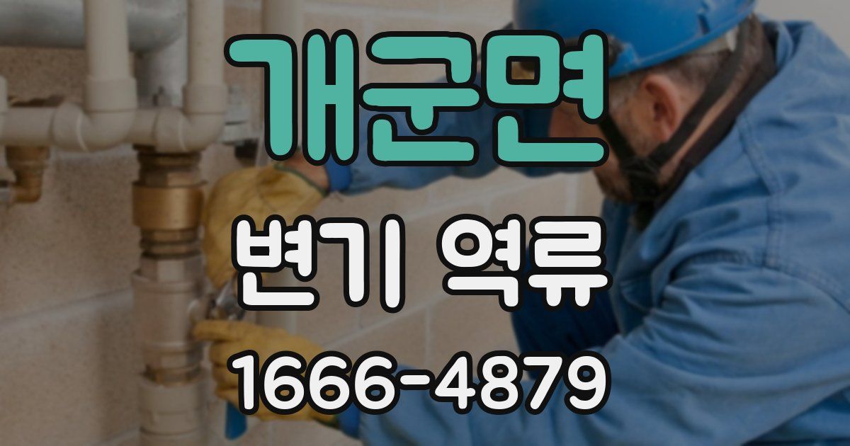 개군면 변기 역류