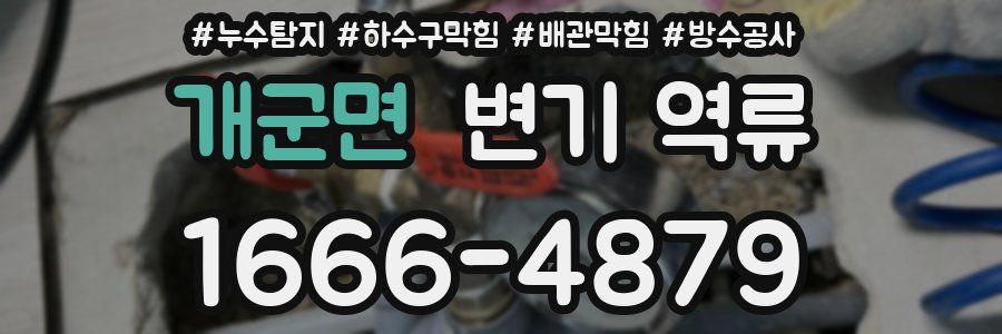 개군면 변기 역류