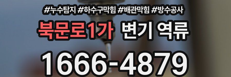 북문로1가 변기 역류