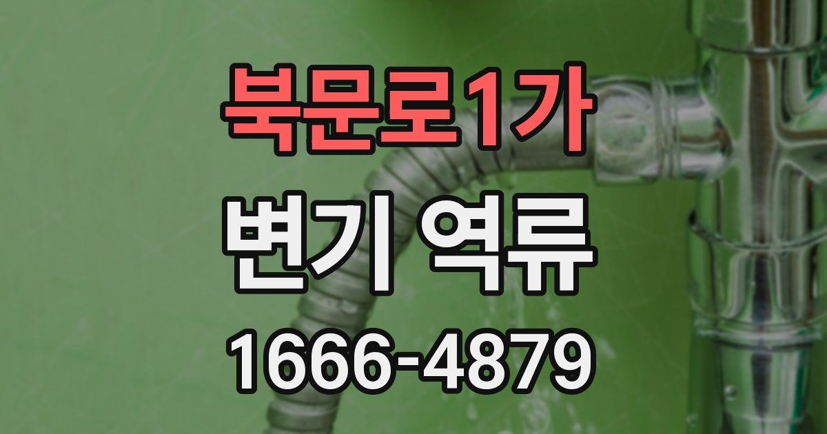 북문로1가 변기 역류