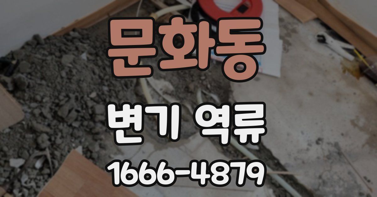문화동 변기 역류