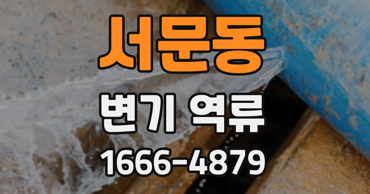 서문동 변기 역류