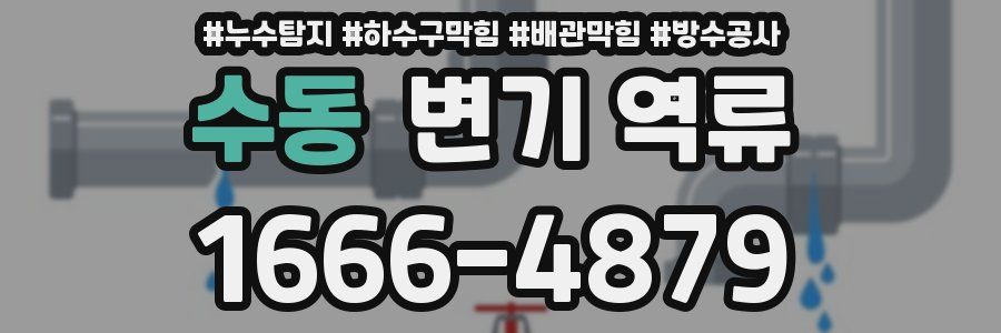 수동 변기 역류