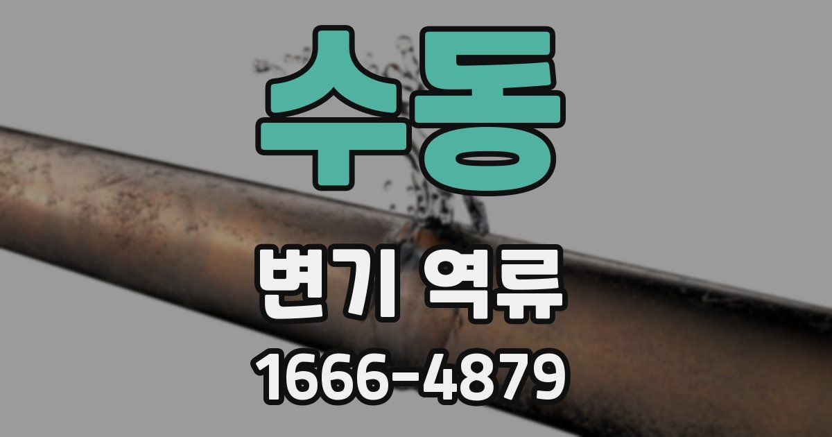 수동 변기 역류