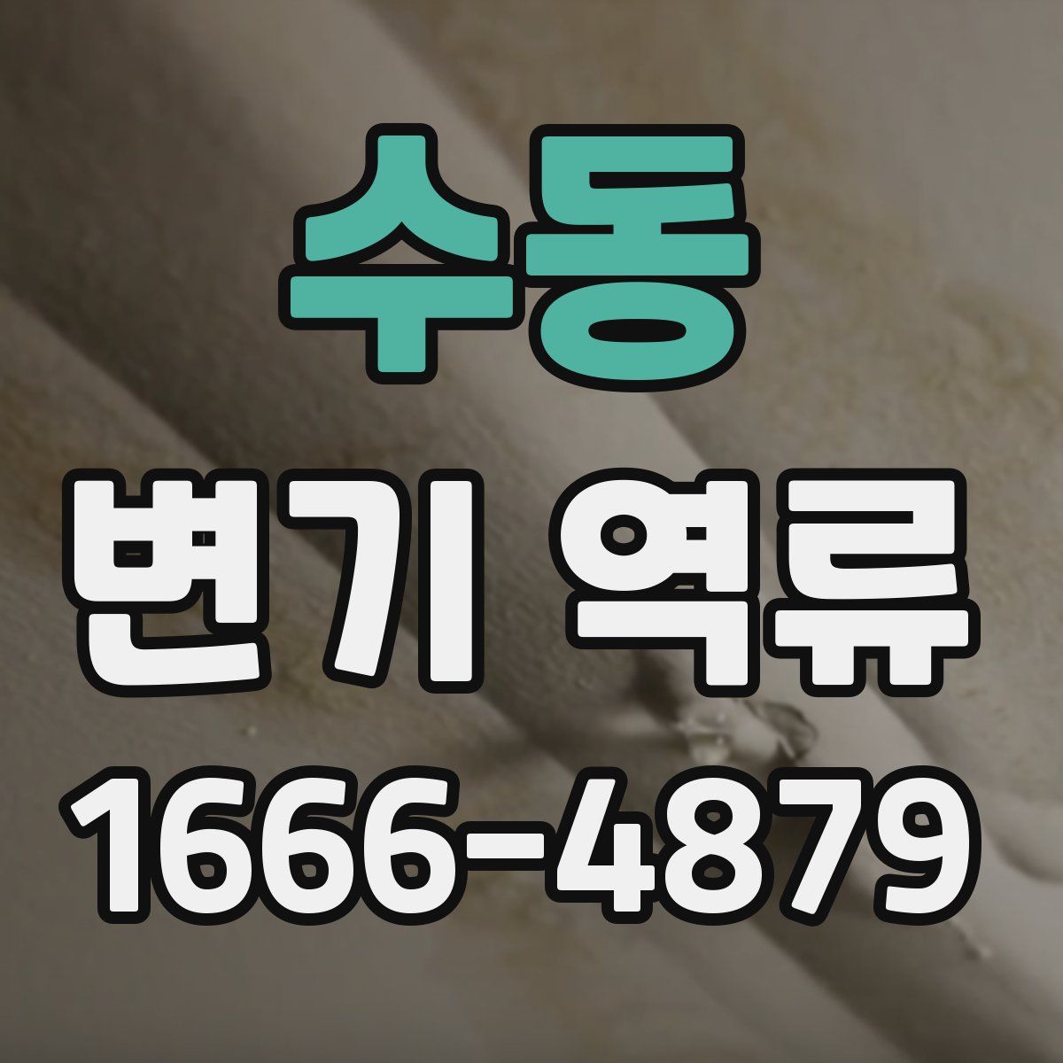 수동 변기 역류