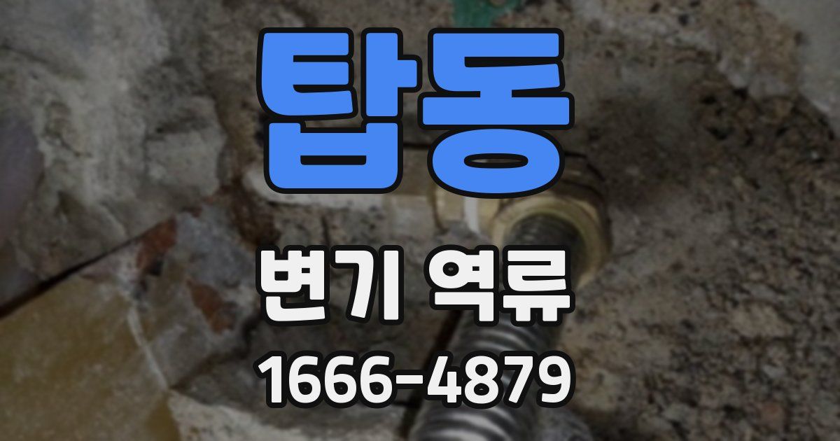 탑동 변기 역류