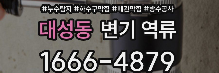 대성동 변기 역류
