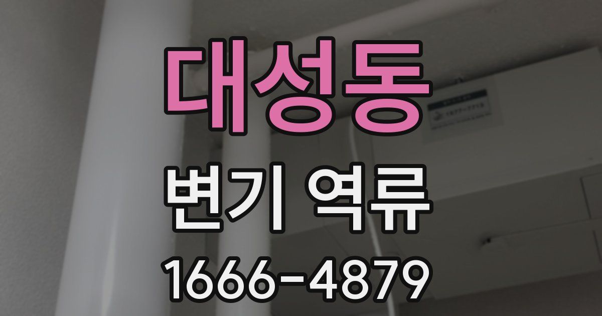 대성동 변기 역류